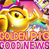 GOLDEN PIG GOOD NEWS