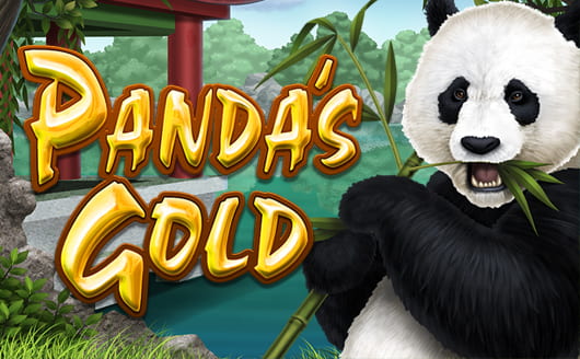 'Panda's Gold'